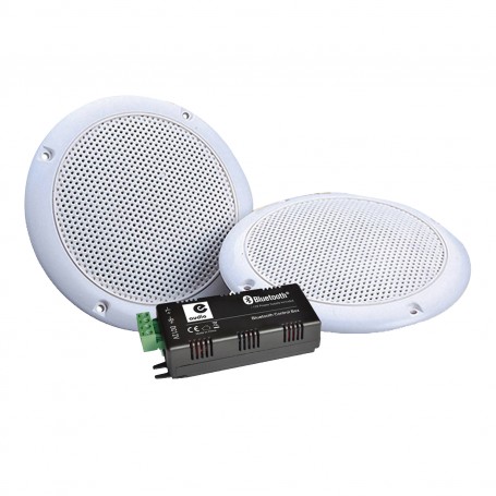 Speakers 80W ceiling recessed 